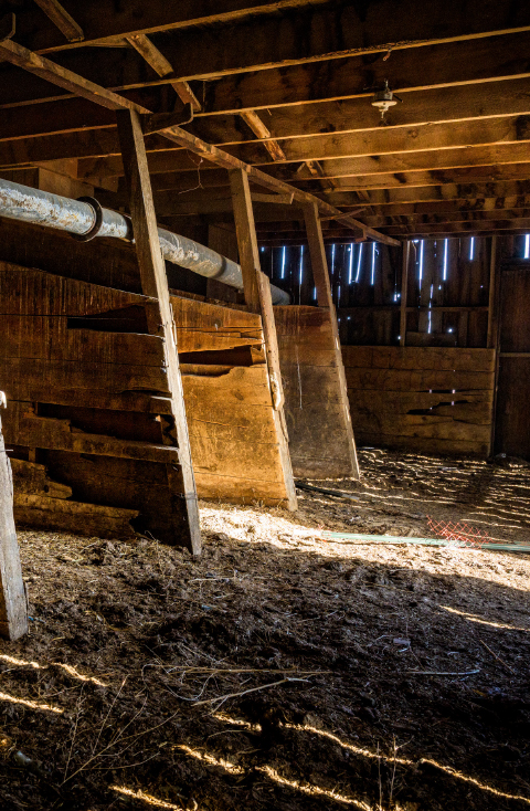 barn stalls